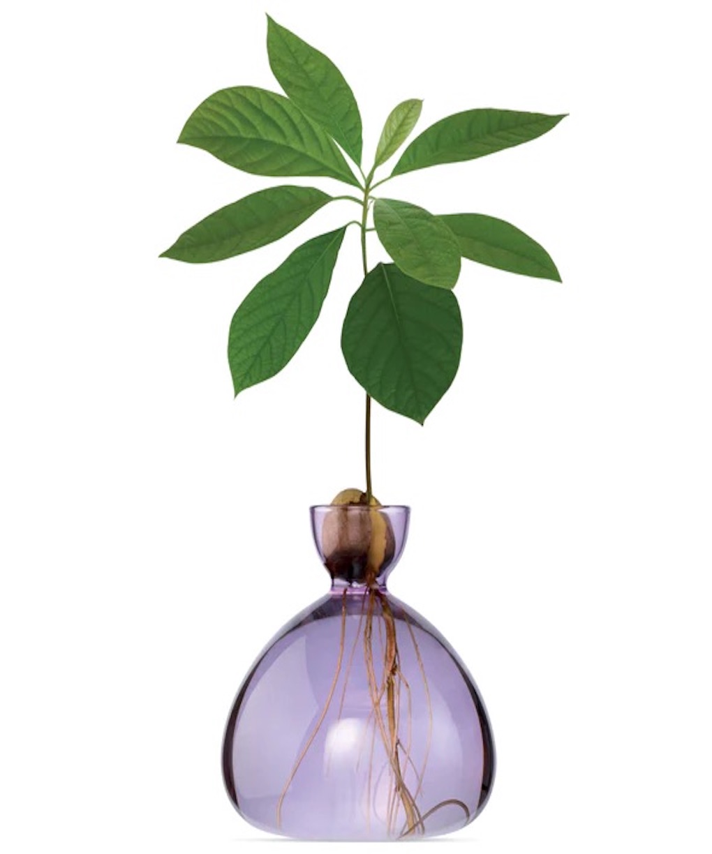 Spring_Lilac_Avocado_Vase_Ilex_Studio_af2454ce-1622-48ab-8860-c6dbba07af13_590x590