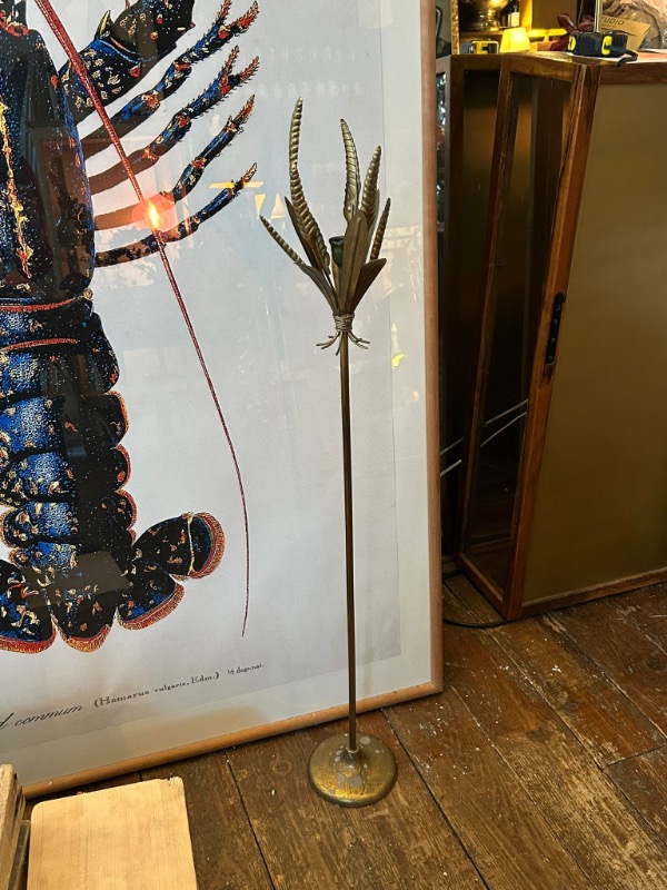 WhatsApp Image 2025-11-12 at 13.53.31