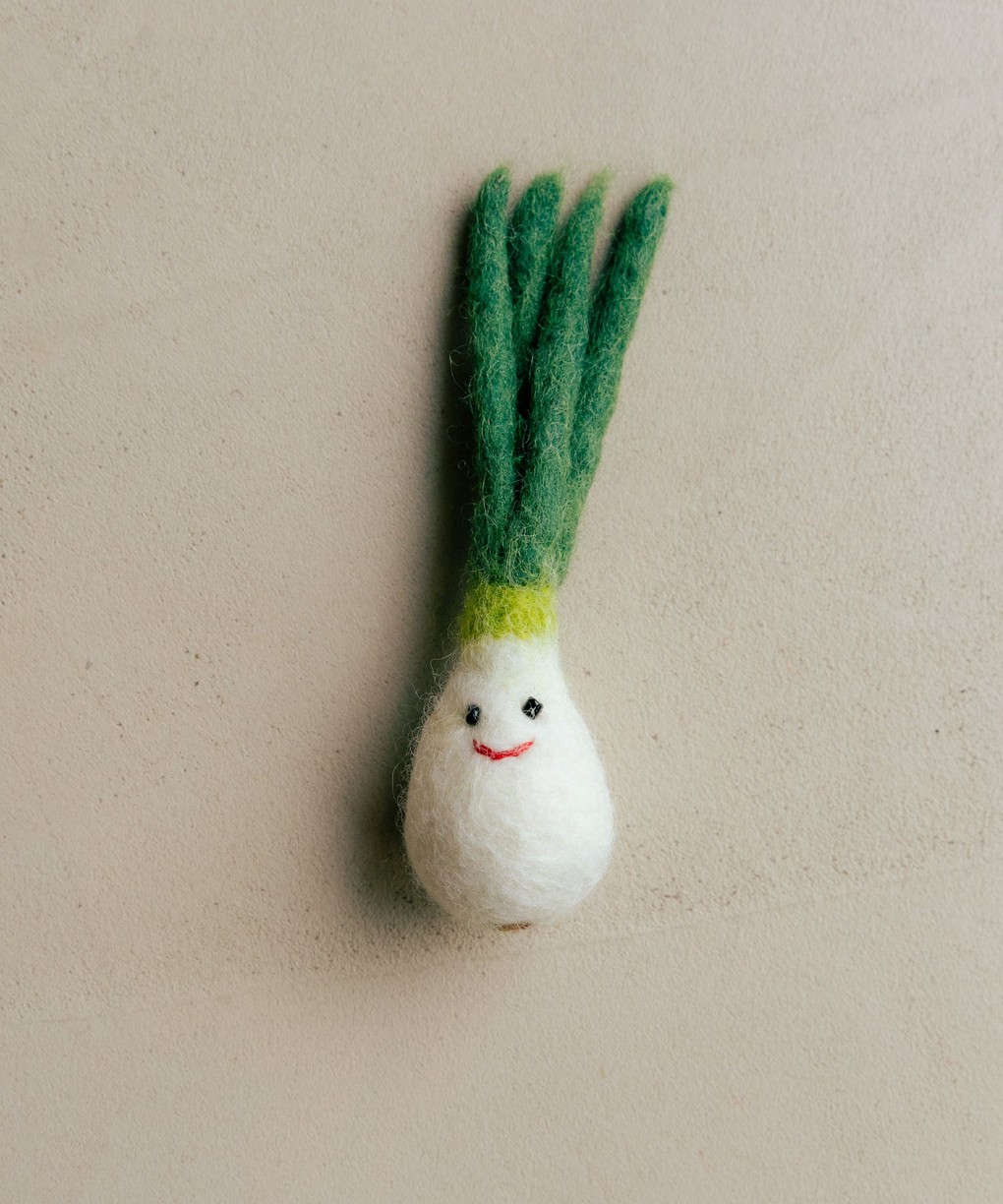 beau-marche-green-onion-felt-magnet-01
