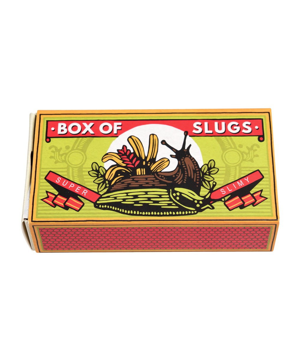 beau-marche-limaces-box-of-two-slimy-slugs-03-1.jpg